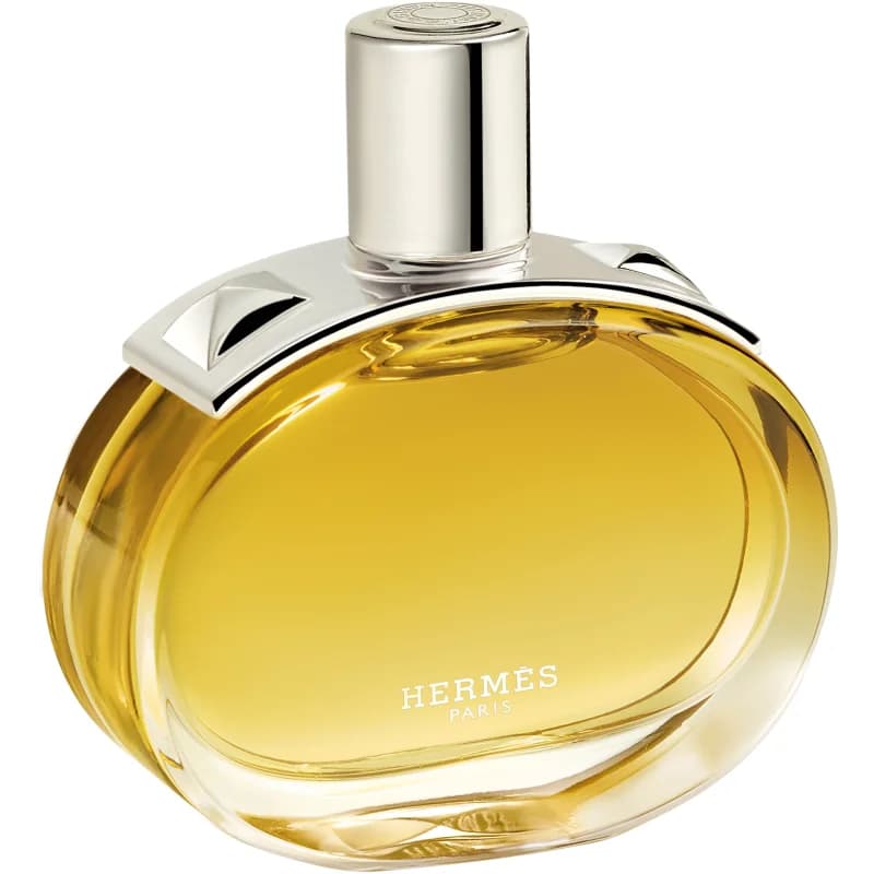Hermès Barénia Intense