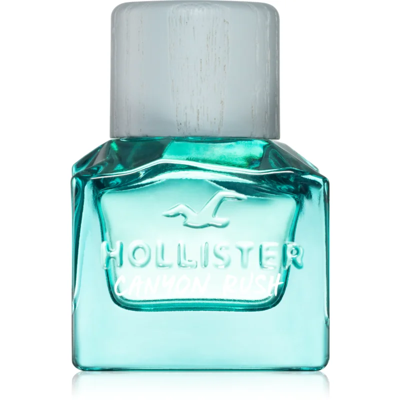 Hollister Canyon Canyon Rush for Him