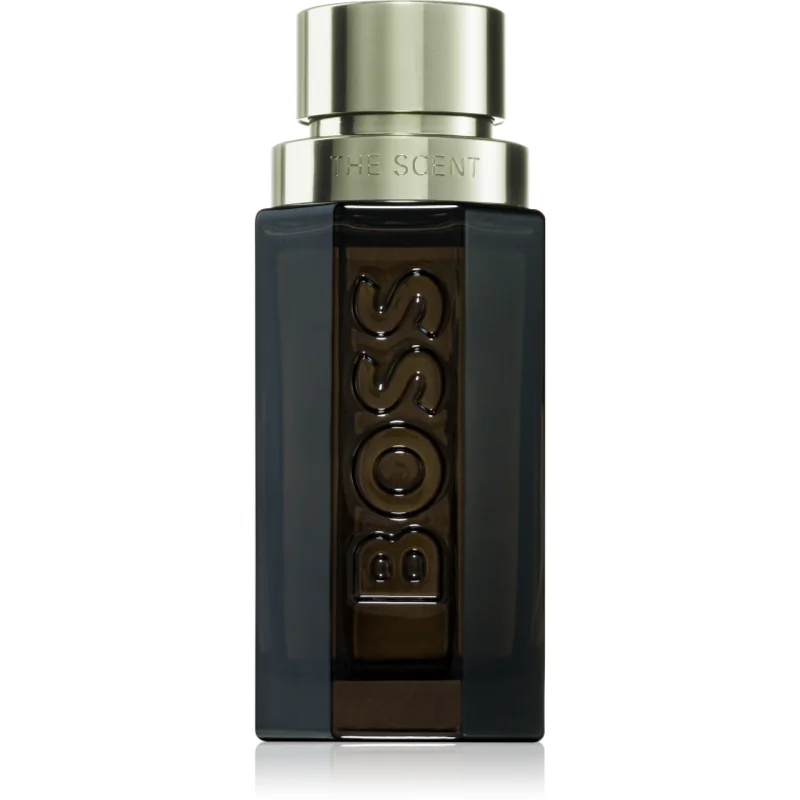 Hugo Boss The Scent Magnetic for him