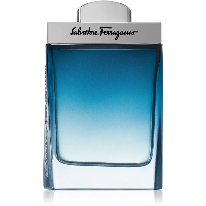 Ferragamo Subtil Pour Homme