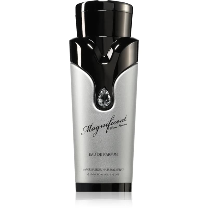 Armaf Magnificent Pour Homme