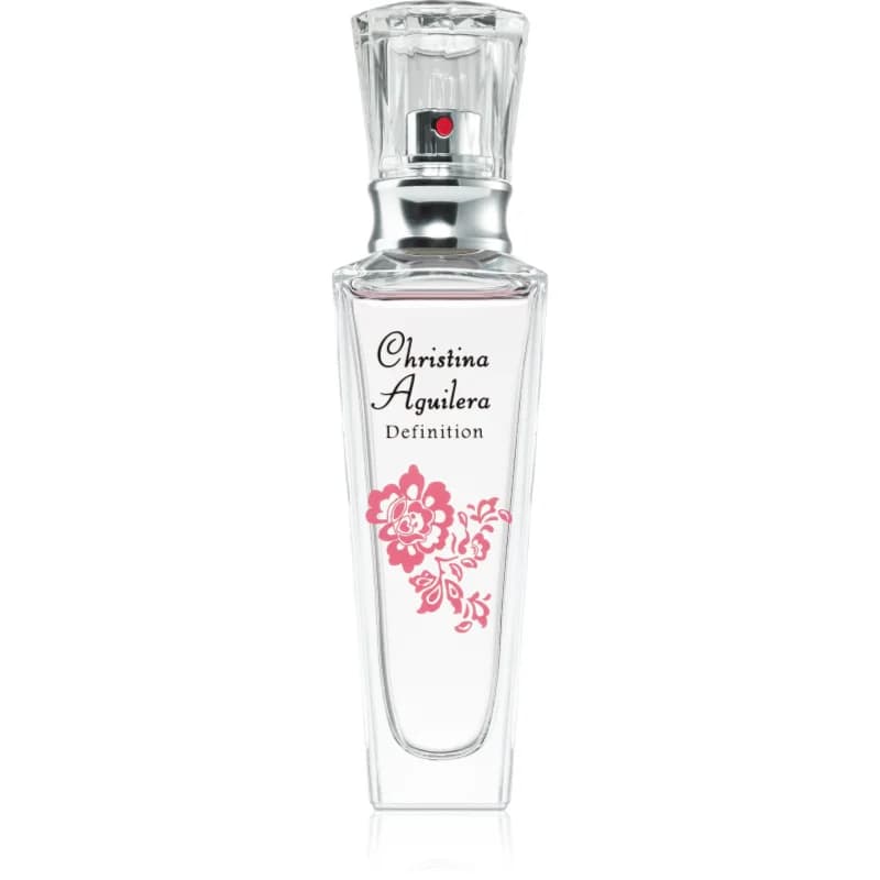Christina Aguilera Definition