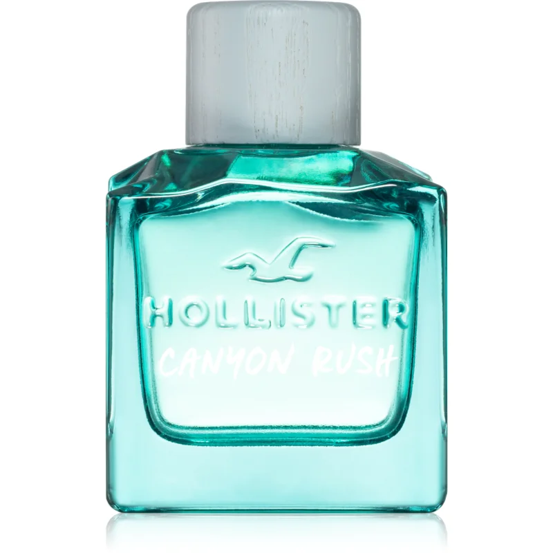 Hollister Canyon Canyon Rush for Him